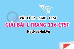 Giải bài 1 trang 116 Vật lí 12 Chân trời sáng tạo SGK